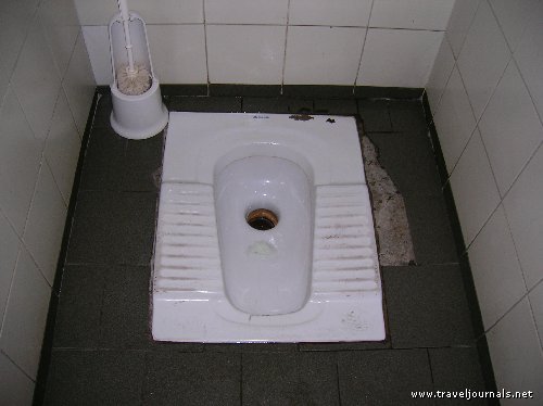 Awesome Toilet